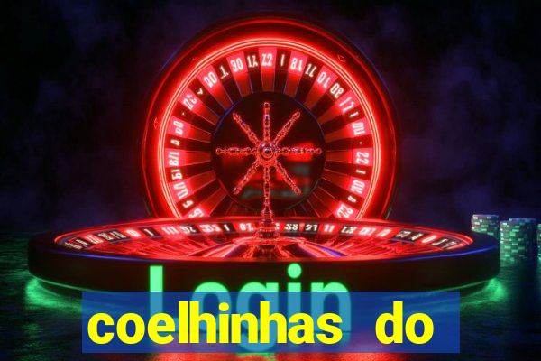 coelhinhas do brasil acompanhantes